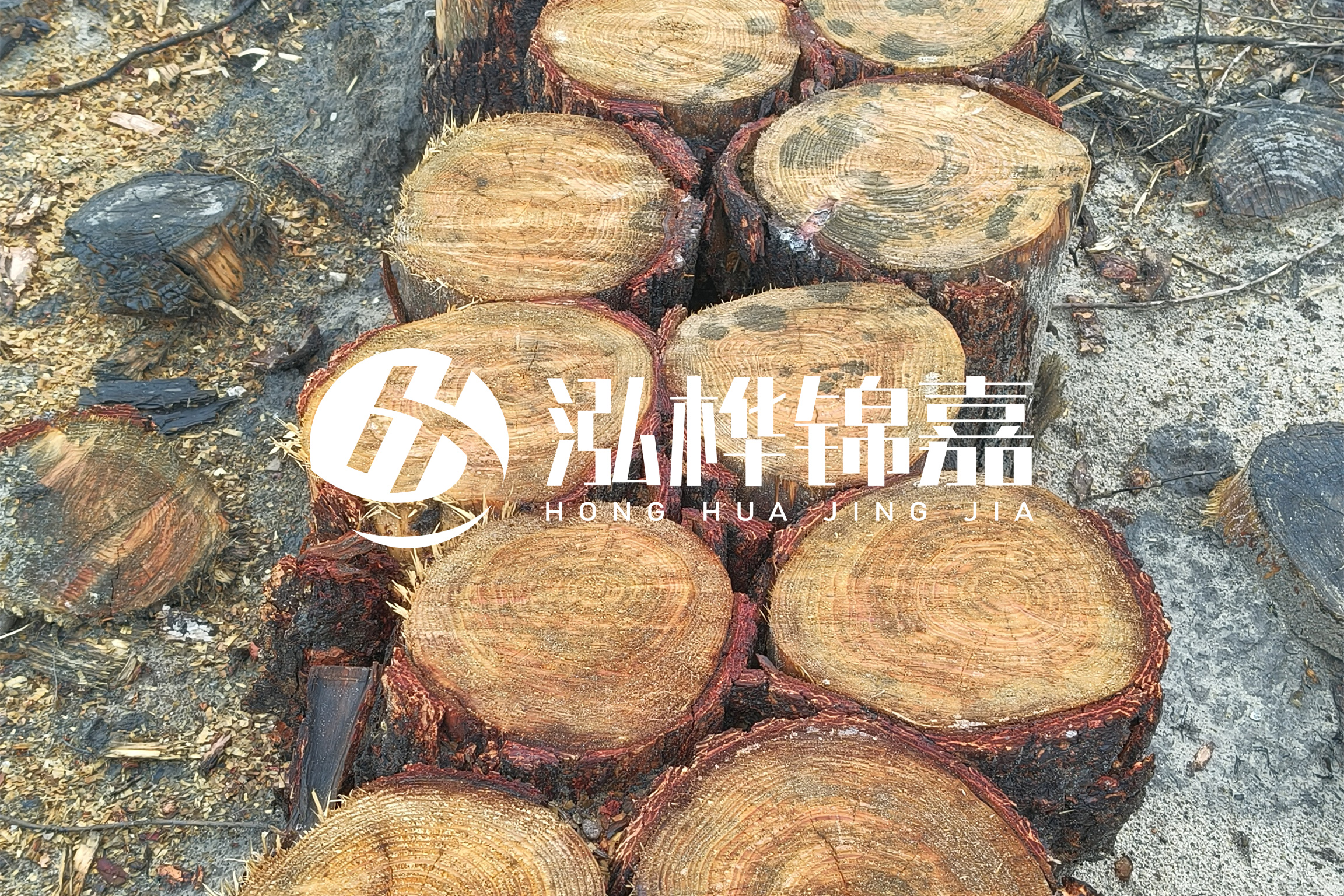 浙江臺(tái)州有清淤的公司嗎？浙江臺(tái)州有清淤施工隊(duì)嗎？