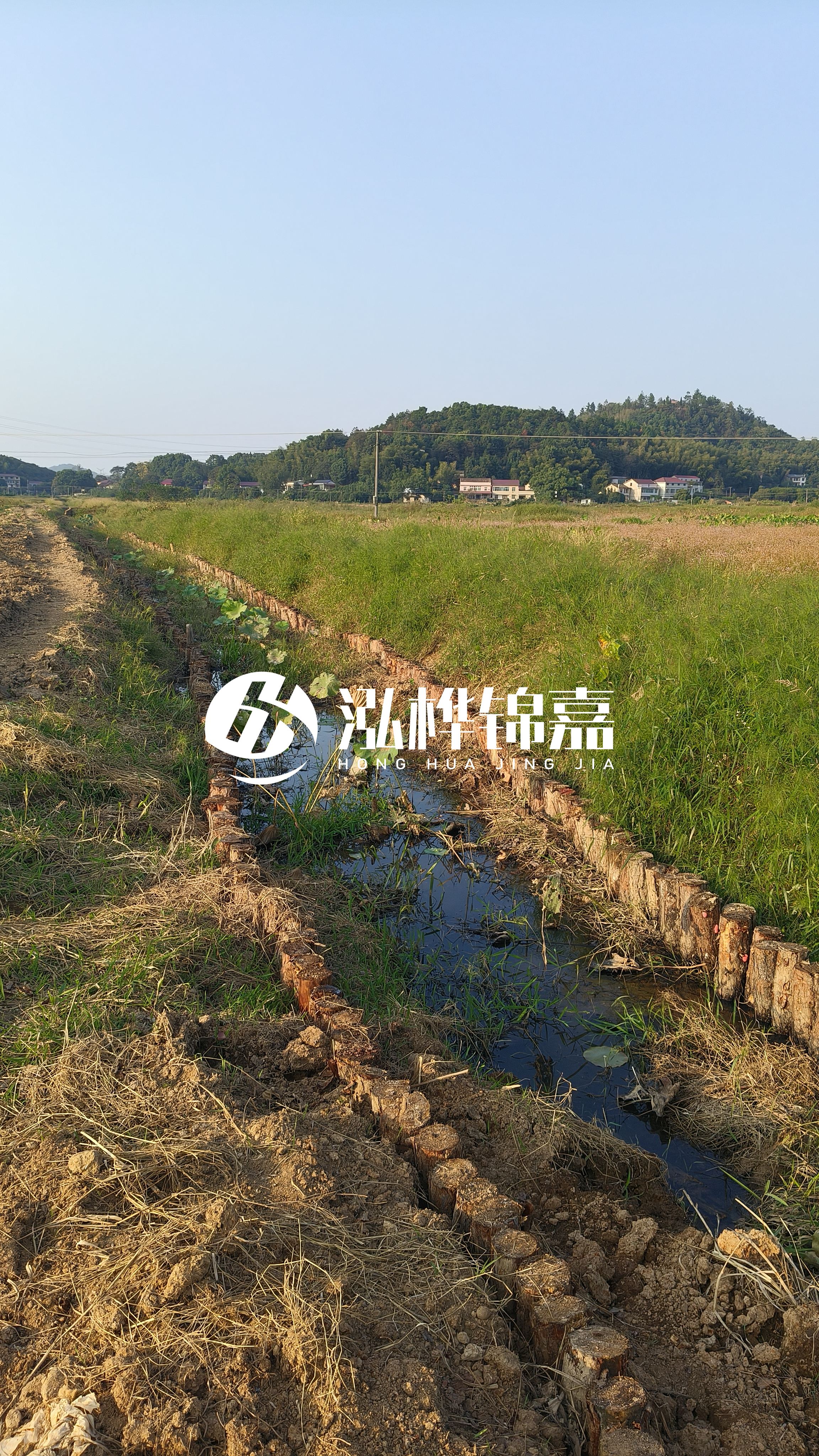 河道護(hù)坡打木樁的目的全解析：你知道幾個(gè)？