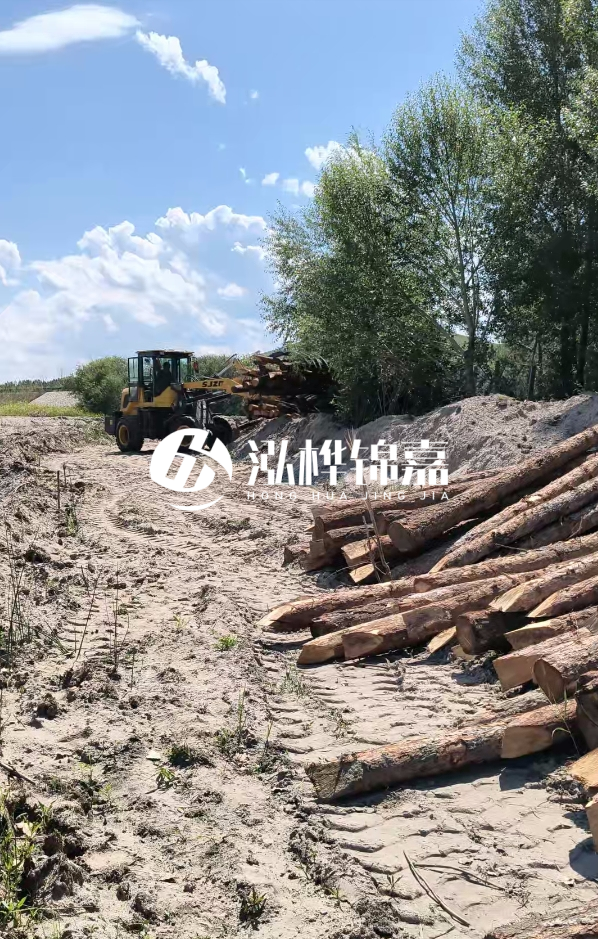 松木樁處理技術(shù)要求是什么-松木樁處理地基間距多少合適呢？