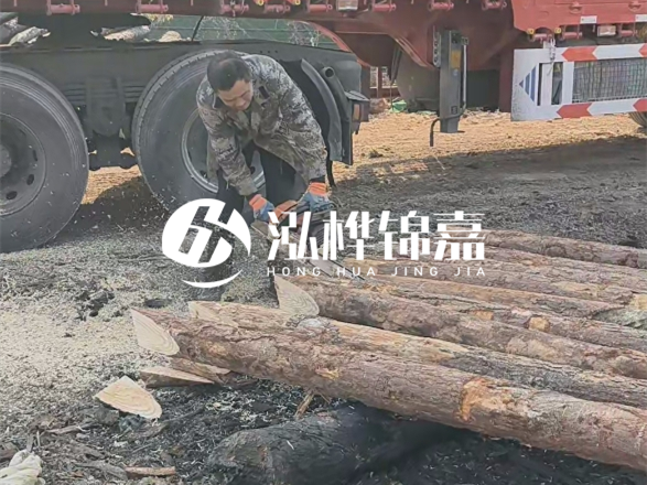 松木圓木價格大概多少一方-松木樁廠家按方可以賣嗎？