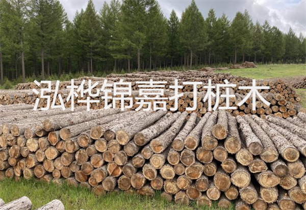 松木樁能施工嗎？探究視頻揭秘真相！
