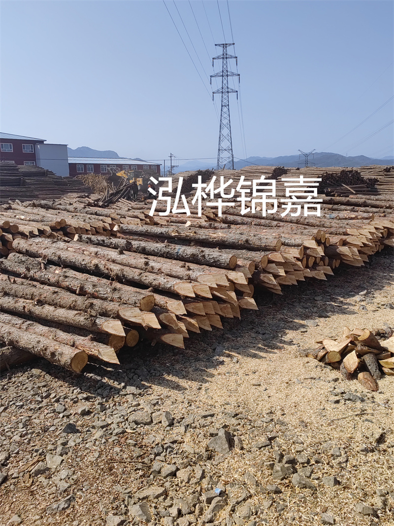 深入了解松木樁基礎(chǔ)施工單價，助力工程建設(shè)順利進行！